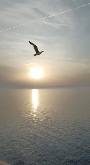 Armareaoverseassuites 1 Fiumicino Zewnętrze zdjęcie